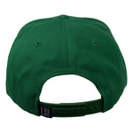 California Highway 1 Snapback Hat by LET'S BE IRIE - Kelly Green - Let's Be Irie™
